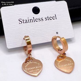 Сережки мед.сталь24К 10430 ( 3.1 см.)